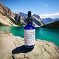 Aller Relief (allergy relief)