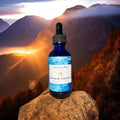 Detox & Conceive (Specialty)