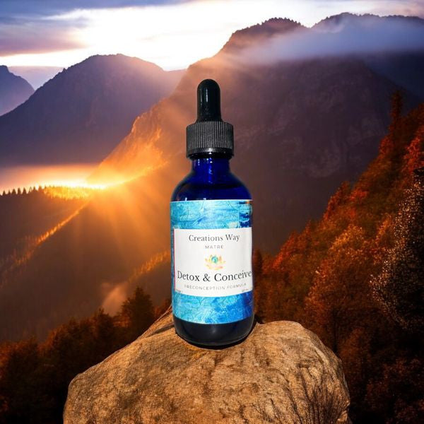 Detox & Conceive (Specialty)