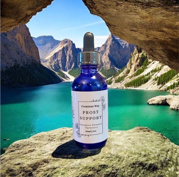 Prost Support (Prostate)