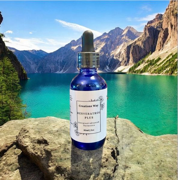 Resveratrol Plus - Natural Plant Antibiotic