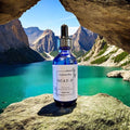 SCAT-P (Prostate and Mutated Cell Support)