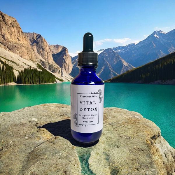Vital Detox